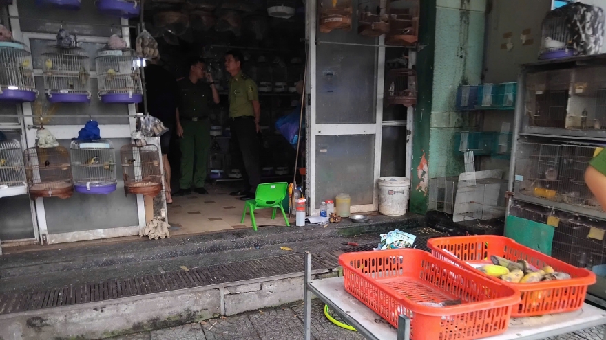 Phát hiện cơ sở mua bán trái phép số lượng lớn chim hoang dã ở Đà Nẵng