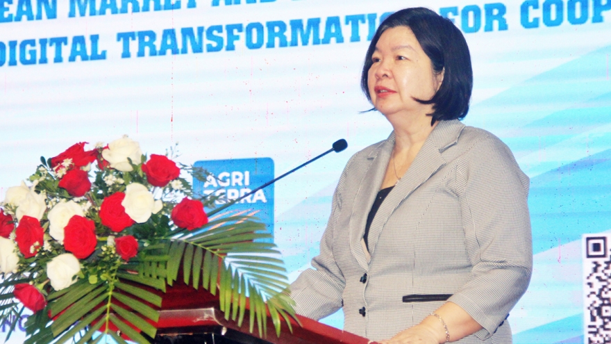 Mạnh ai nấy làm, hợp tác xã khó mở cửa vào EU