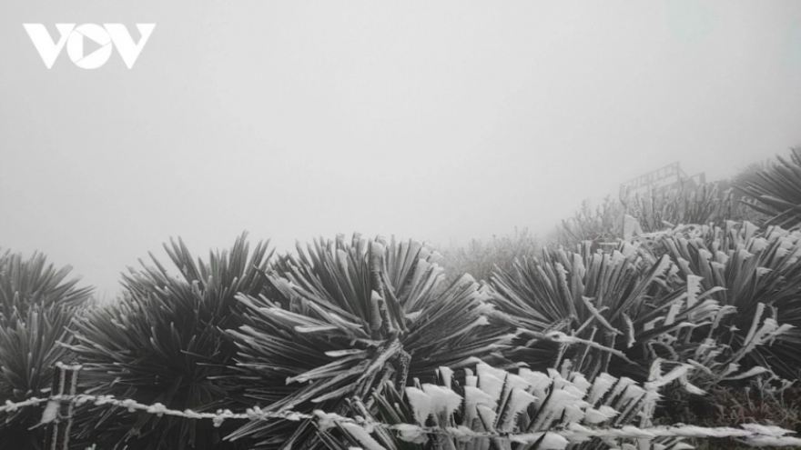 Gió mùa Đông Bắc: Bắc Bộ và Bắc Trung Bộ rét đậm