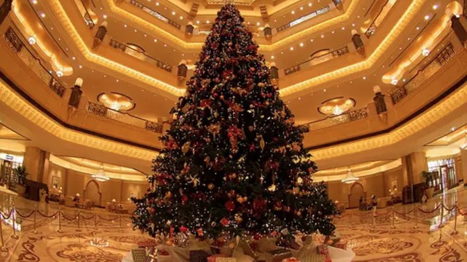 Chiêm ngưỡng những cây thông Noel đắt đỏ nhất thế giới