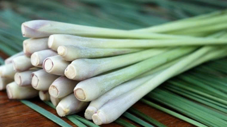 Công dụng của sả khiến nhiều người bất ngờ