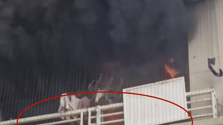 Cháy ngùn ngụt tại căn hộ chung cư Đại Thanh, Hà Nội