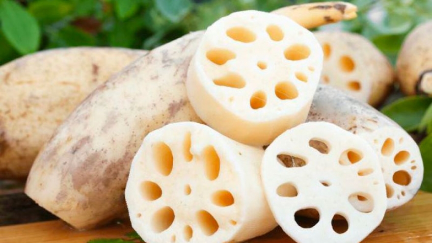 Vì sao củ sen được xem là “thực phẩm vàng” cho cơ thể?