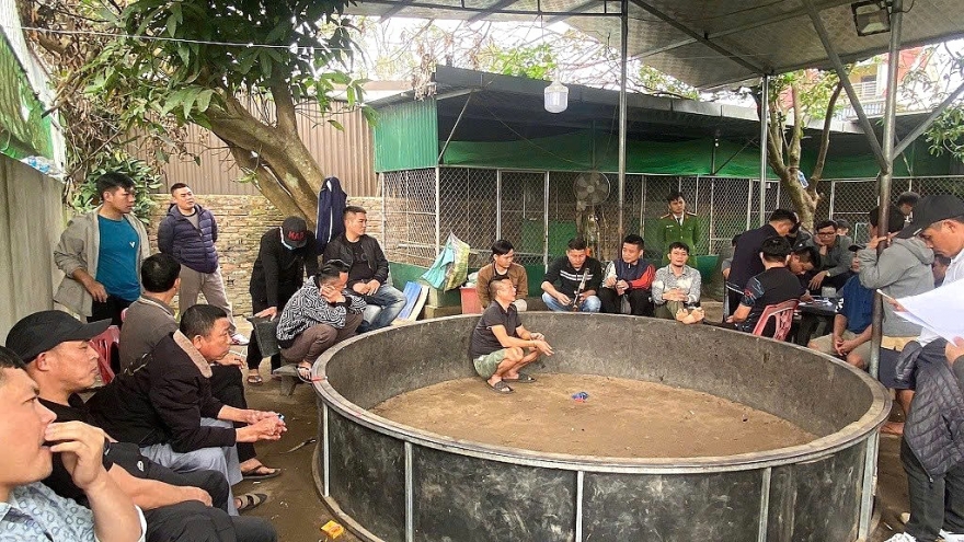 Cảnh sát bao vây sới gà ở Nghệ An