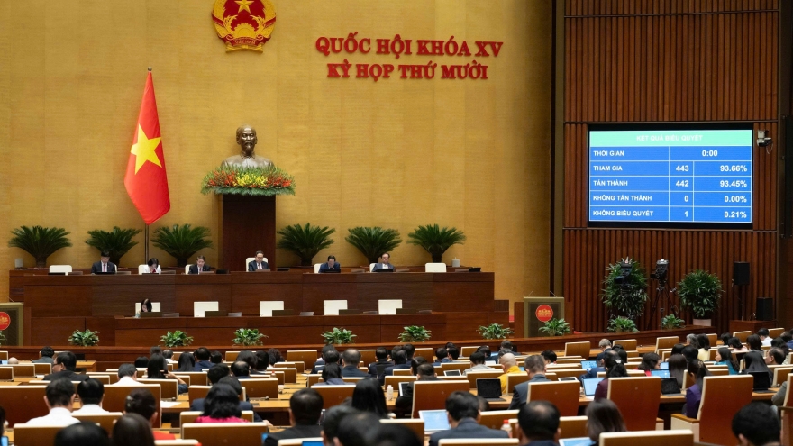 Nhiều ưu đãi cho chuyên gia, nhà khoa học, người có tài năng làm việc tại Đà Nẵng