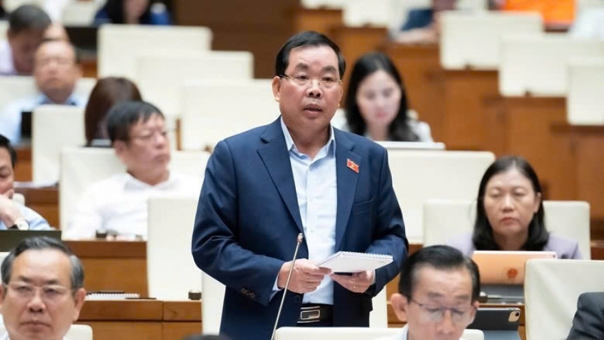 Việt Nam cần tạo ra một hệ sinh thái trọng dụng nhân tài