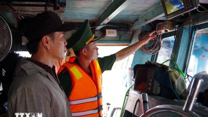Dong Thap enforces full port controls on vessels in anti-IUU fishing drive