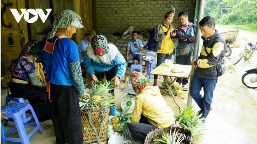 Phát triển nông nghiệp hàng hoá – nền tảng để vùng cao Điện Biên thoát nghèo