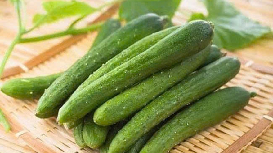 Dưa leo: Loại quả rẻ tiền nhưng mang lại nhiều lợi ích bất ngờ