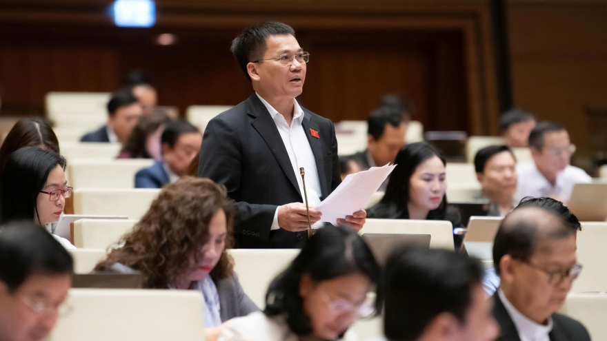 ĐBQH đề nghị Chính phủ có giải pháp mạnh hơn để ngăn chặn thực phẩm giả