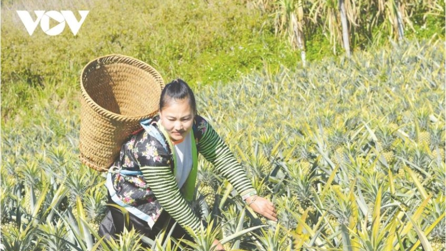 Linh hoạt trong triển khai công tác giảm nghèo ở Điện Biên