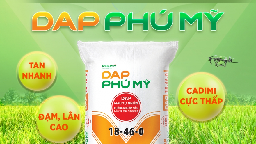 PVFCCo – Phú Mỹ chính thức ra mắt DAP Phú Mỹ