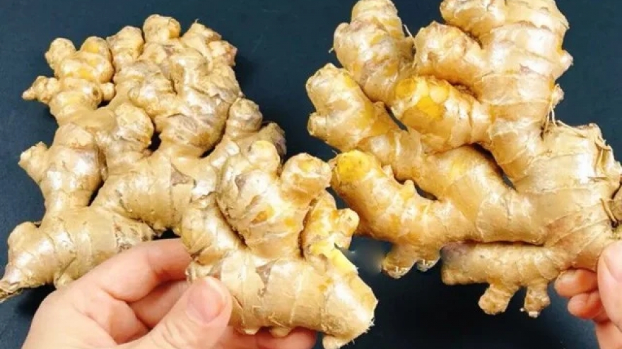 Gừng là vị thuốc phổ biến trong Đông y nhưng những người này nên tránh xa