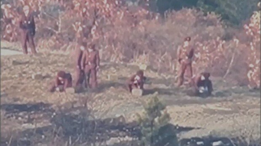 Hàn Quốc tố Triều Tiên đặt mìn trên ranh giới quân sự liên Triều