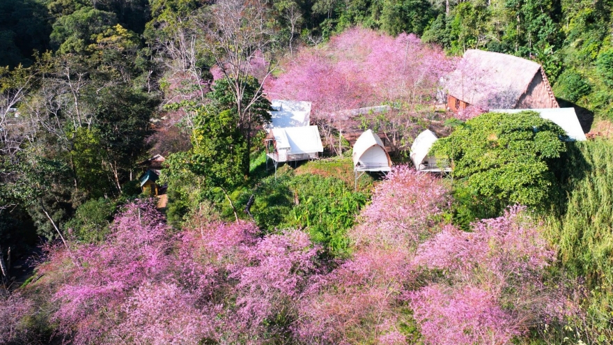 Quảng Ngãi tổ chức chuỗi sự kiện văn hóa, du lịch chào năm mới 2026