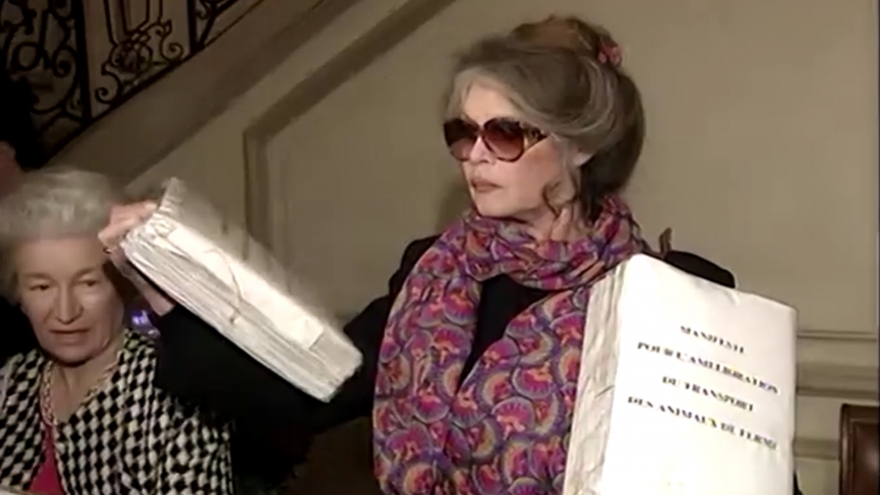 Huyền thoại điện ảnh Pháp Brigitte Bardot qua đời ở tuổi 91