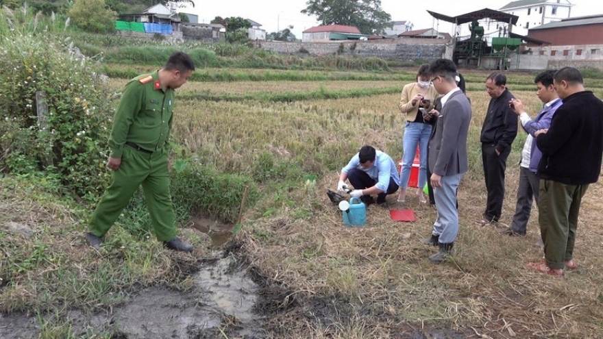 Xử phạt hơn 400 triệu đồng cơ sở sơ chế cà phê tại Sơn La