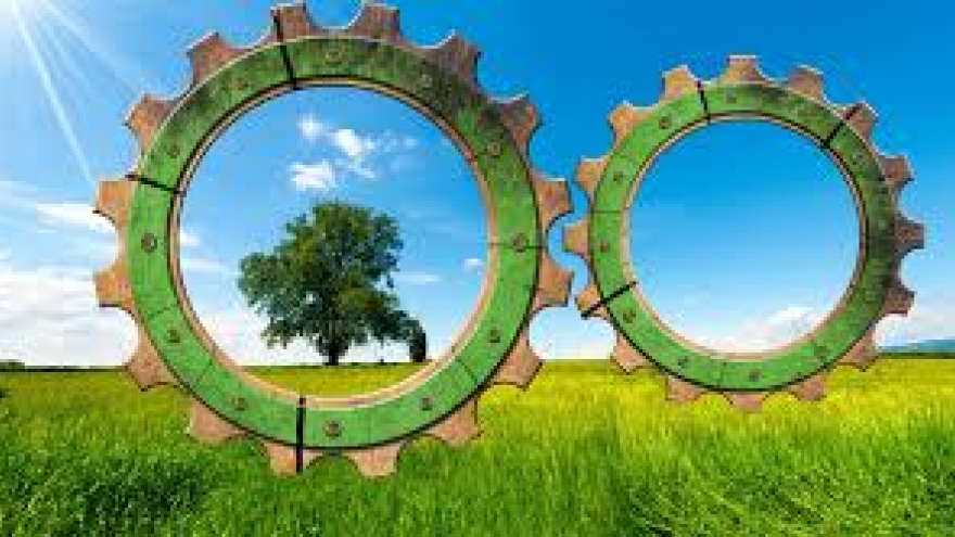 Mở khóa hệ sinh thái đầu tư tác động tại Việt Nam