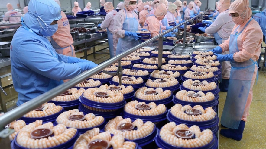 Tôm dẫn dắt tăng trưởng, thủy sản Việt Nam khép lại năm 2025 khởi sắc