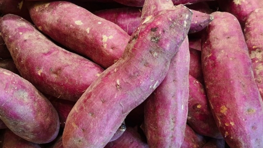 Ăn khoai lang mỗi ngày, sức khỏe và ngoại hình sẽ thay đổi đáng kinh ngạc