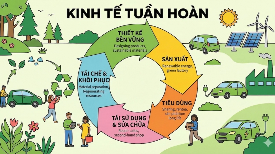 Đừng chờ đợi chính sách, kinh tế tuần hoàn bắt đầu từ chính bạn