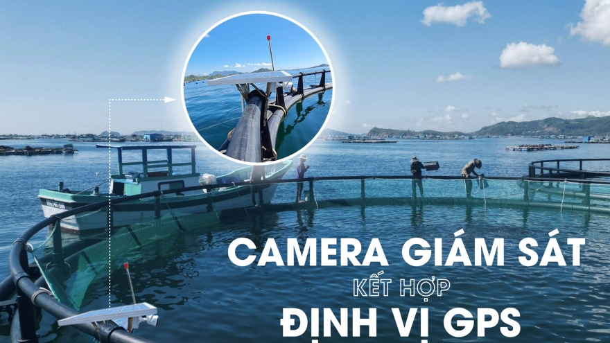 Nuôi trồng thủy sản thích ứng với thiên tai