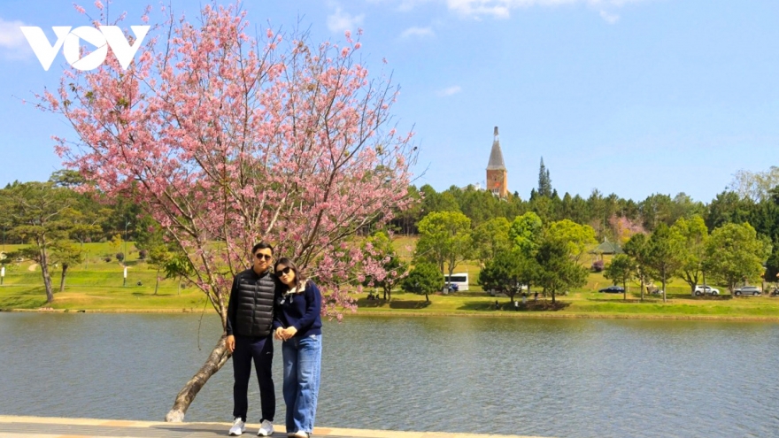 Khách Việt ưa chuộng du lịch trong nước dịp nghỉ Tết Dương lịch