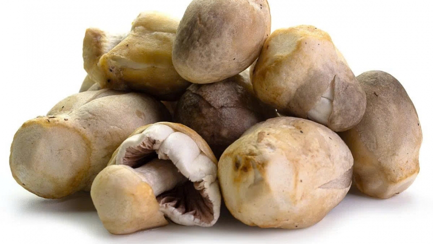 Không chỉ ngon, nấm rơm còn mang đến loạt lợi ích khiến bạn muốn ăn mỗi ngày