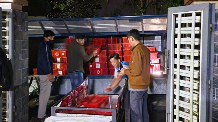 Nearly a tonne of cobras seized in illegal transport from Laos to Vietnam