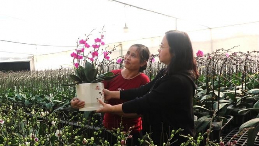 Vietnam poised to ring in 2026, ready to embark on new era of prosperity