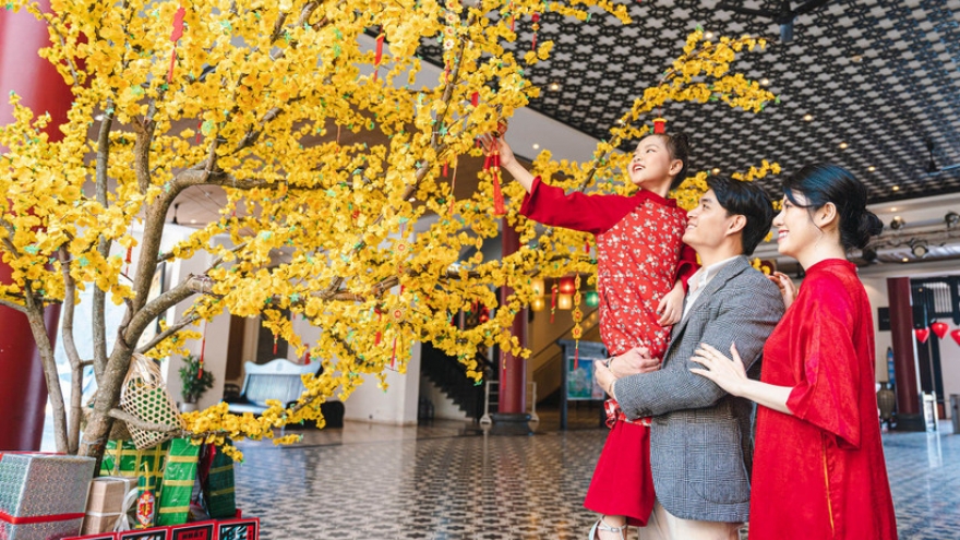 Da Nang New Year Festival 2026 promises vibrant cultural, entertainment spaces