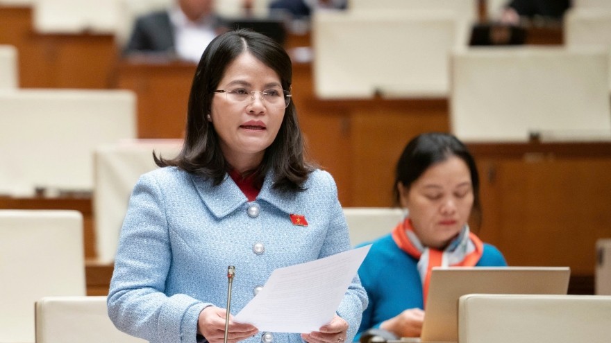 Đại biểu Quốc hội lo ngại một số khoáng sản có giá trị sẽ mất đi