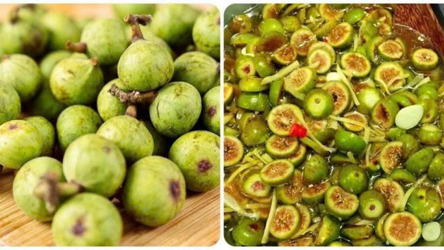 Quả sung - vị thuốc dân dã và những lợi ích bất ngờ cho sức khỏe