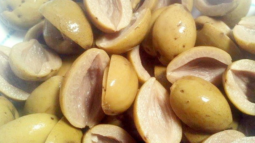 Quả trám có gì đặc biệt mà được dân gian coi là vị thuốc quý?