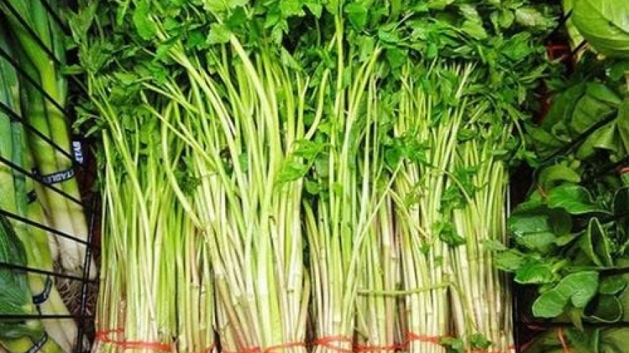 Công dụng bất ngờ của rau cần nước, rất ít người biết