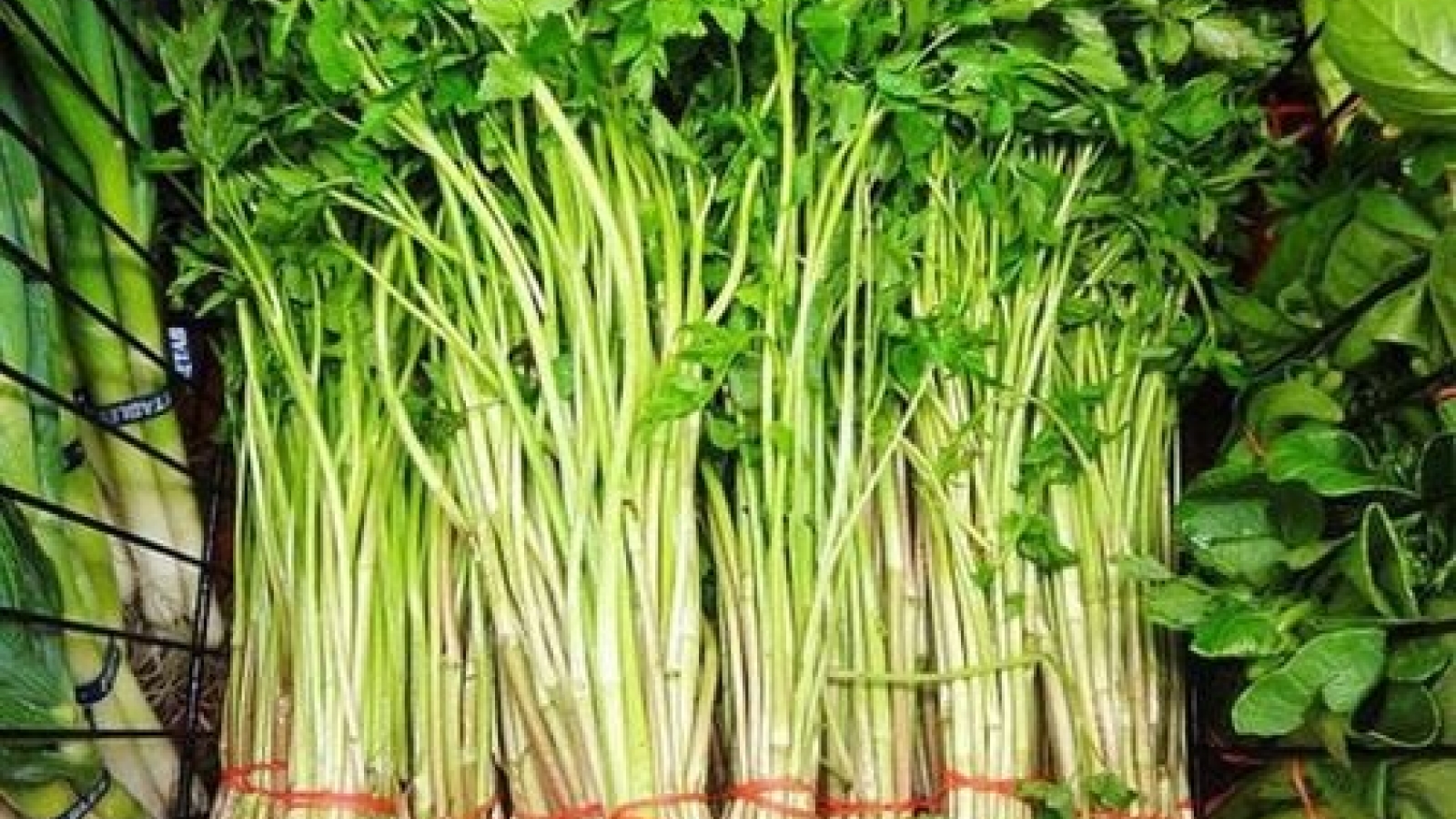 Công dụng bất ngờ của rau cần nước, rất ít người biết