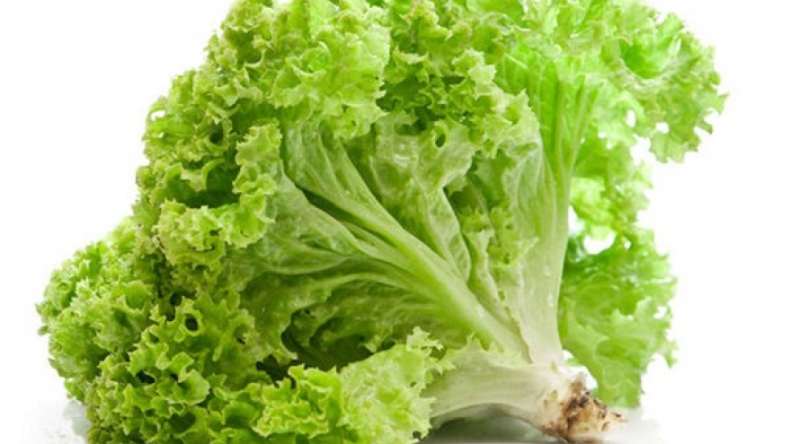 Không chỉ ăn kèm salad, loại rau này còn tốt cho gan và giấc ngủ