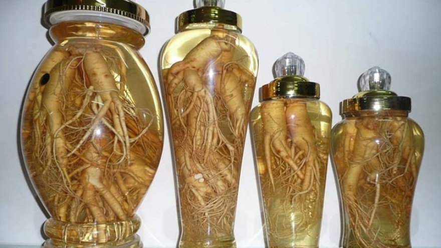 Bí quyết ngâm rượu đinh lăng đúng cách để phát huy tối đa công dụng