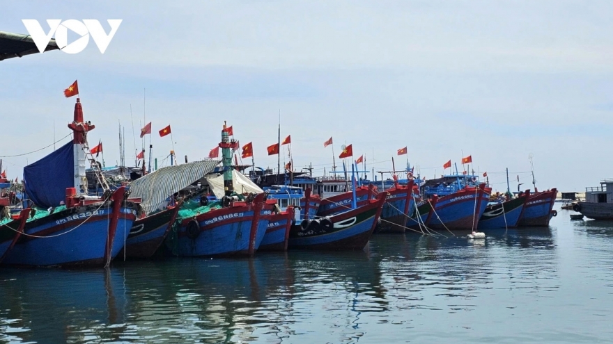 Quảng Ngãi siết chặt quản lý tàu cá thi hành án, ngăn nguy cơ vi phạm IUU