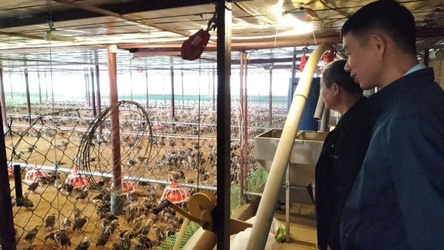 Thái Nguyên sẵn sàng nguồn cung thực phẩm cho thị trường Tết