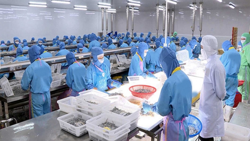 Xuất khẩu thủy sản lập kỷ lục mới, lần đầu vượt 11 tỷ USD