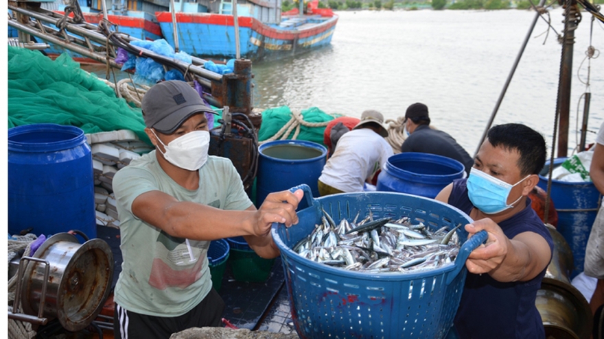 Siết chặt kỷ cương trên biển, nỗ lực vì một nghề cá bền vững