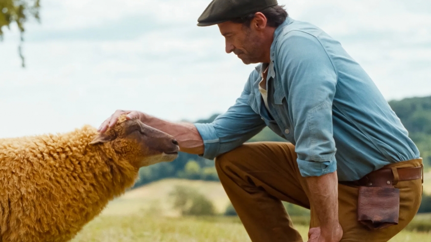 Phim mới của Hugh Jackman gây tò mò với đàn cừu hóa thám tử