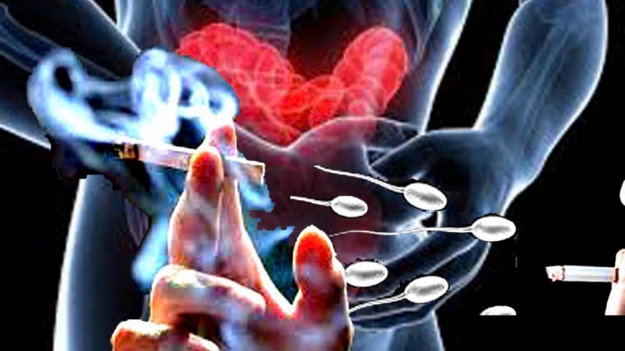 Phòng the nguội lạnh, vợ chồng vô sinh vì thuốc lá