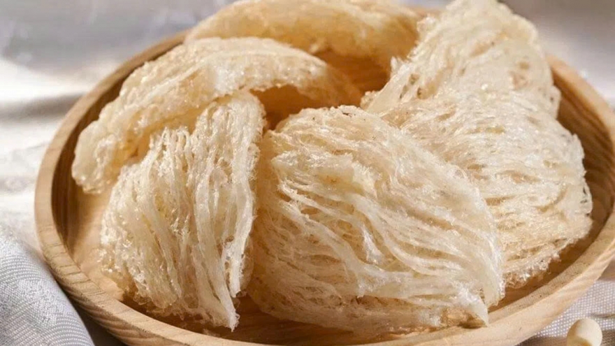 Vì sao tổ yến được nhiều người săn tìm để bồi bổ cơ thể?