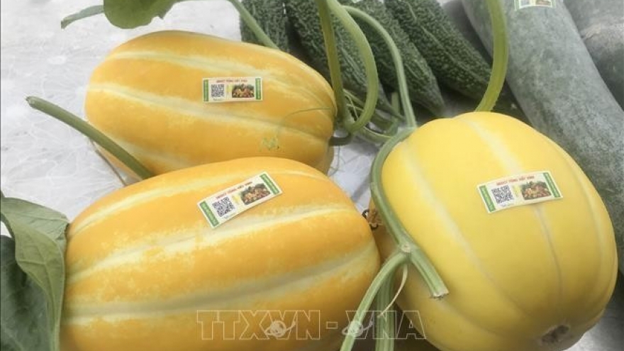 Tracing origins hindered by fragmented data systems