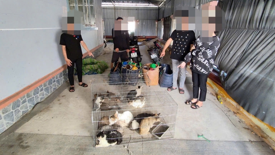 Vĩnh Long: Xảy ra tình trạng “mèo tặc”  ở vùng nông thôn