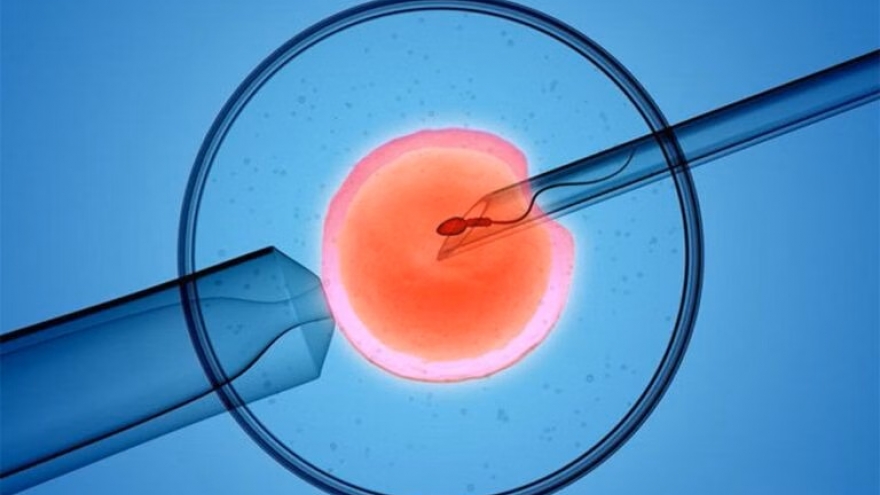 Được và mất giữa lựa chọn xét nghiệm huyết thống của con trai