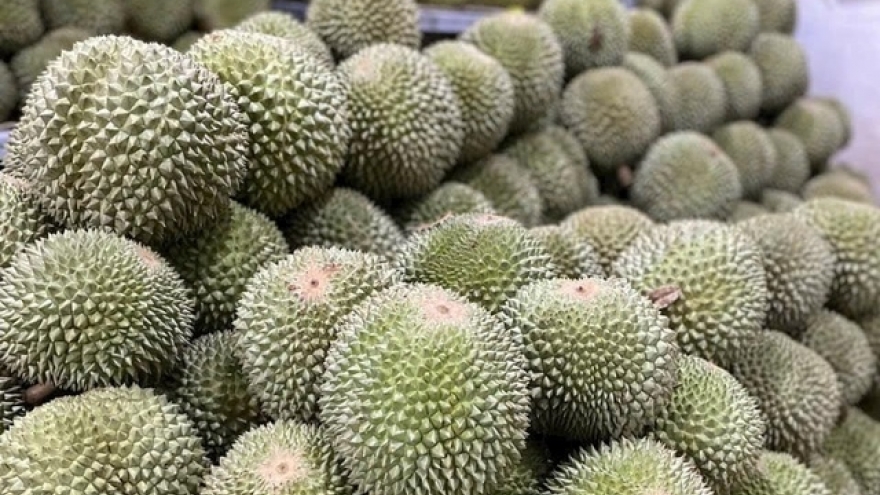 Loại quả "quý tộc" được trồng thành công tại Việt Nam