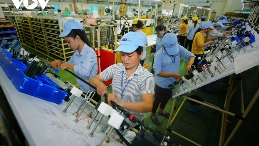 Bùng nổ doanh nghiệp thành lập mới, nhưng áp lực giải thể vẫn lớn